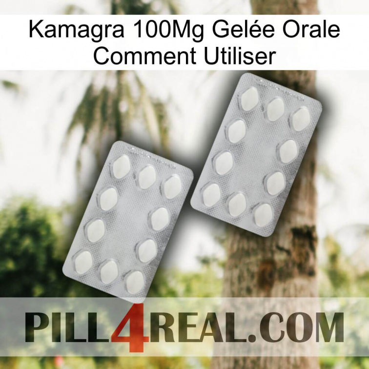 Kamagra 100Mg Gelée Orale Comment Utiliser 17